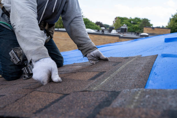 Best Roof Waterproofing Services  in Merton, WI